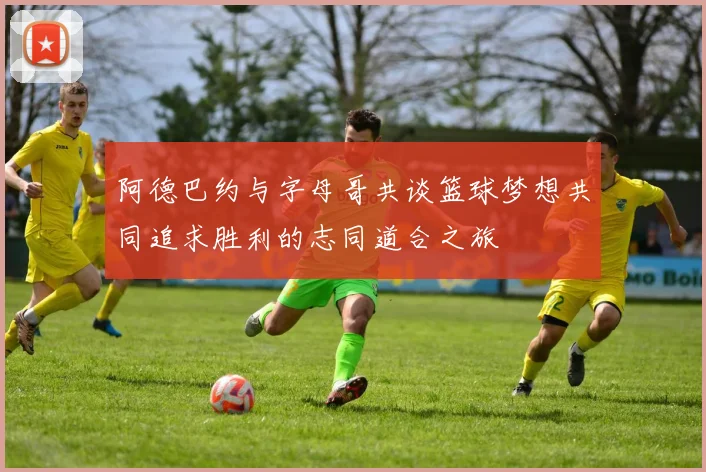 阿德巴约与字母哥共谈篮球梦想共同追求胜利的志同道合之旅
