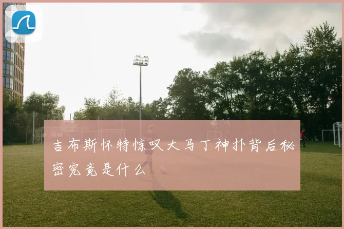 吉布斯怀特惊叹大马丁神扑背后秘密究竟是什么